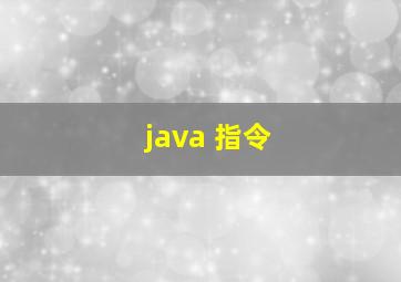 java 指令